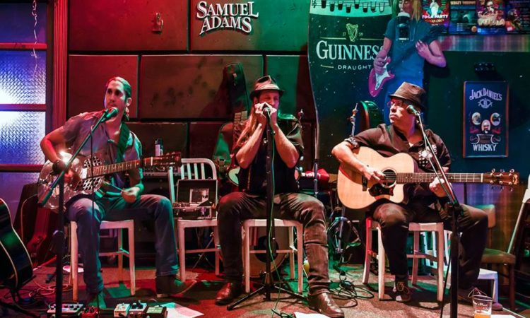 Dov Hammer's Blues power (acoustic trio)